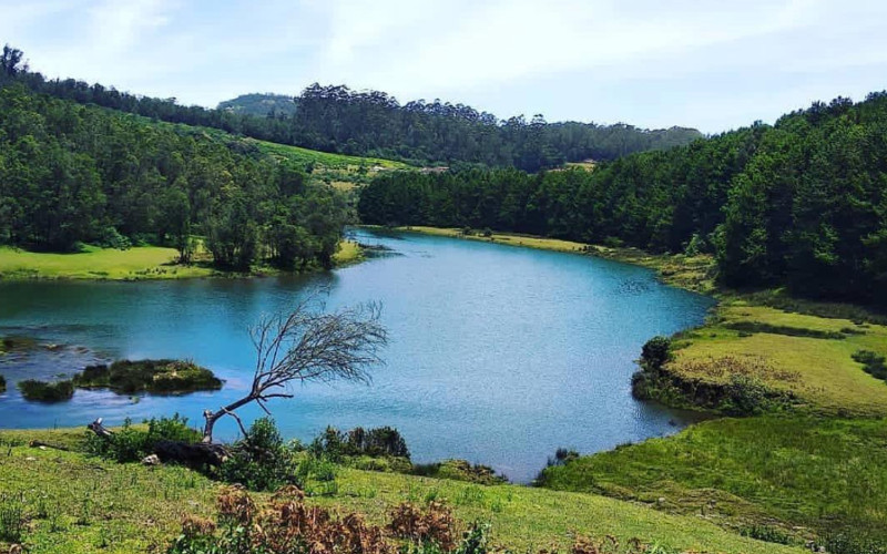 Hidden Gems of Ooty