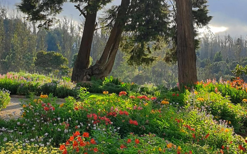 Karnataka Siri Horticulture Garden